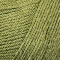 70070 Leaf Green